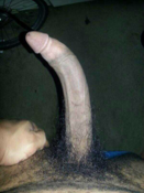 141419 - Black Cock Gallery