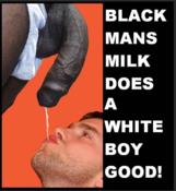 142148 - Black Cock Gallery