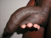 144652 - Black Cock Gallery