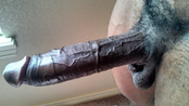 144798 - Black Cock Gallery