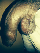 145350 - Black Cock Gallery