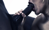 156512 - Black Cock Gallery