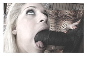 156513 - Black Cock Gallery