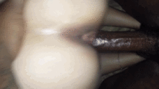 158760 - Black Cock Gallery