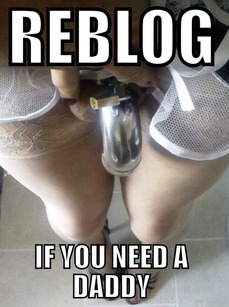 162544 - Black Cock Gallery
