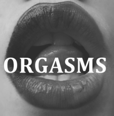 168753 - Black Cock Gallery