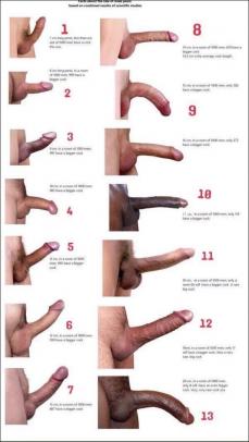 173844 - Black Cock Gallery