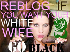 196457 - Black Cock Gallery
