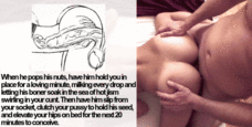 197657 - Black Cock Gallery