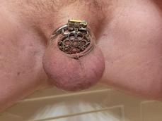 218584 - Black Cock Gallery