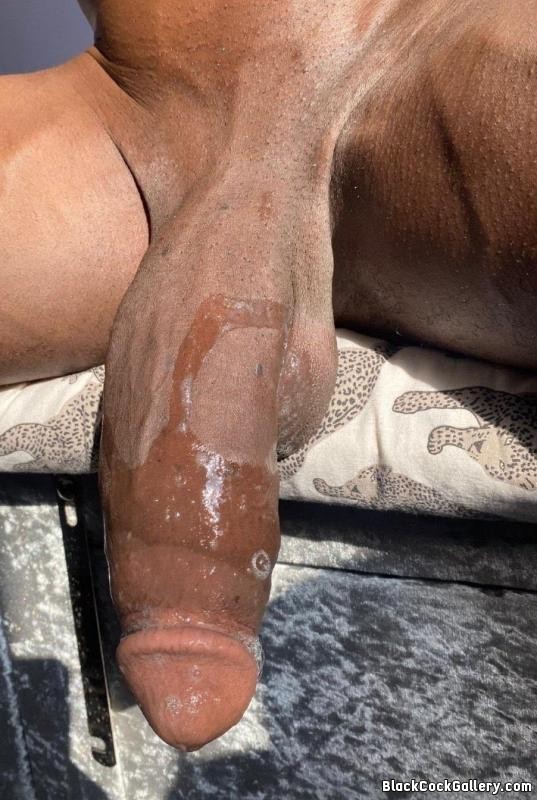 220424 - Black Cock Gallery