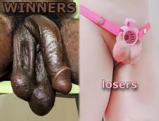 220489 - Black Cock Gallery