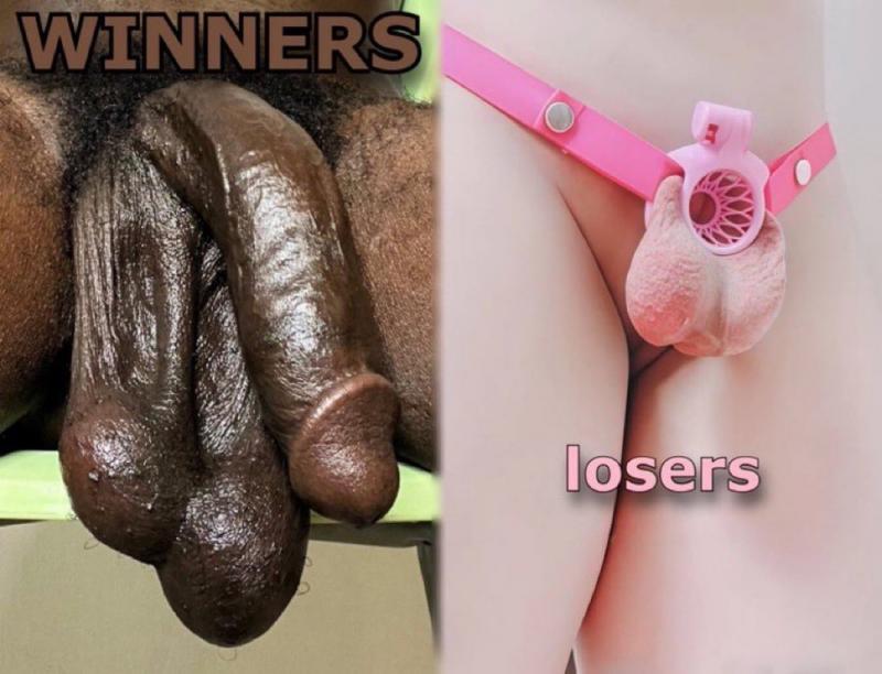220489 - Black Cock Gallery