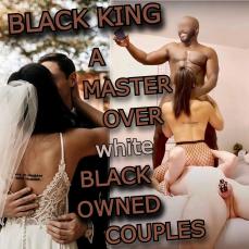 220567 - Black Cock Gallery