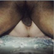 34988 - Black Cock Gallery