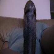 38327 - Black Cock Gallery