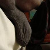 38517 - Black Cock Gallery