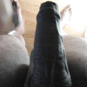 38900 - Black Cock Gallery