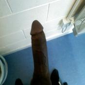 38913 - Black Cock Gallery