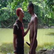41897 - Black Cock Gallery