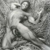 42084 - Black Cock Gallery