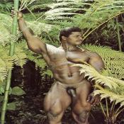 42165 - Black Cock Gallery