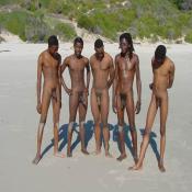 42425 - Black Cock Gallery