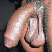 42594 - Black Cock Gallery