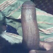 43053 - Black Cock Gallery