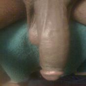 43652 - Black Cock Gallery