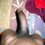 53700 - Black Cock Gallery