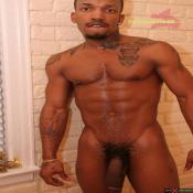 67637 - Black Cock Gallery