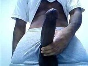 69852 - Black Cock Gallery