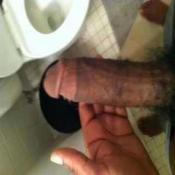 70049 - Black Cock Gallery