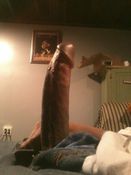 70157 - Black Cock Gallery