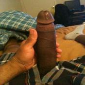 71587 - Black Cock Gallery
