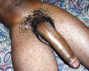 72048 - Black Cock Gallery