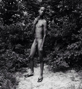 75004 - Black Cock Gallery