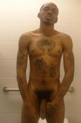 75336 - Black Cock Gallery