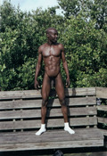 79817 - Black Cock Gallery