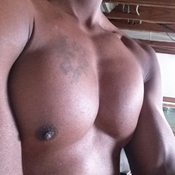 80200 - Black Cock Gallery
