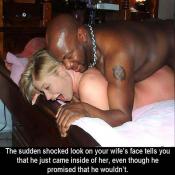 84542 - Black Cock Gallery