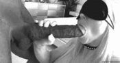86527 - Black Cock Gallery