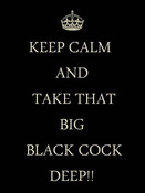 95150 - Black Cock Gallery